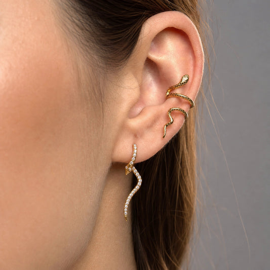 Serpent Zirconia Stainless Steel Earrings Set — view 3