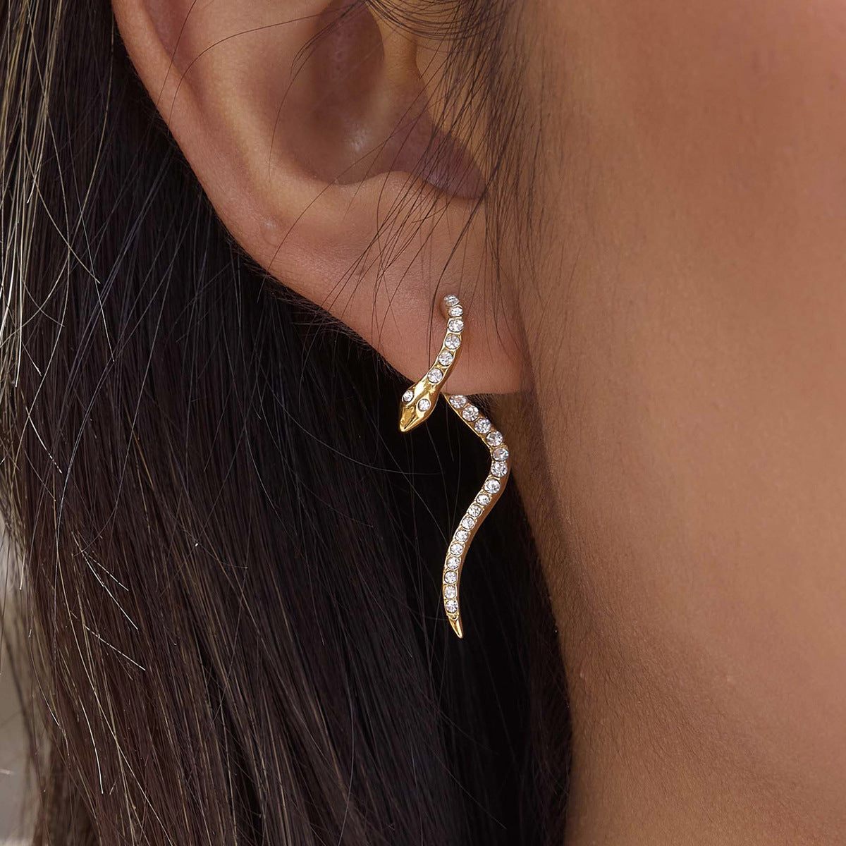 Serpent Zirconia Stainless Steel Earrings Set — view 2