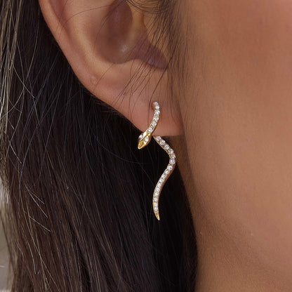 Serpent Zirconia Stainless Steel Earrings Set — view 2