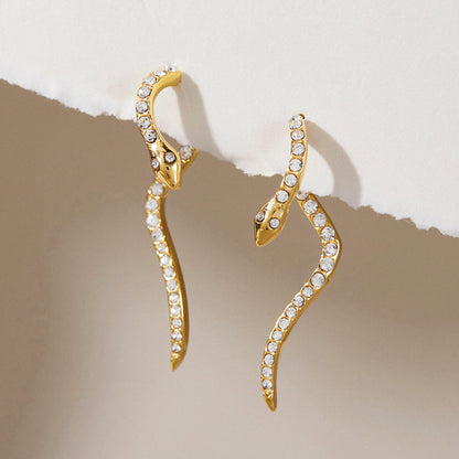 Serpent Zirconia Stainless Steel Earrings Set — view 4